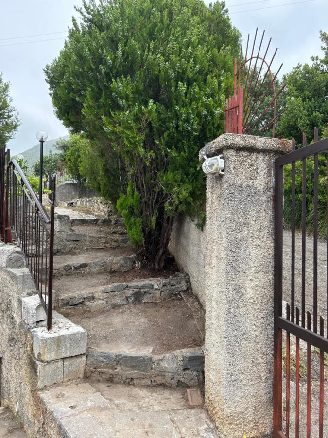 Villa Loren Прая а Маре Екстериор снимка